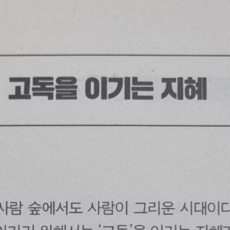  고독은 혼자 해결하지 못해요.