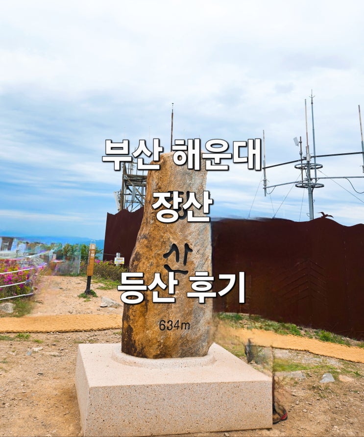  부산 해운대 바다뷰 예쁜 '장산' 등산 후기
