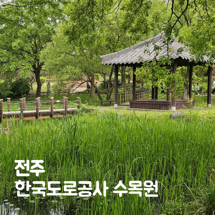  한국도로공사 전주수목원 공조팝 장미 5월 가볼만한곳