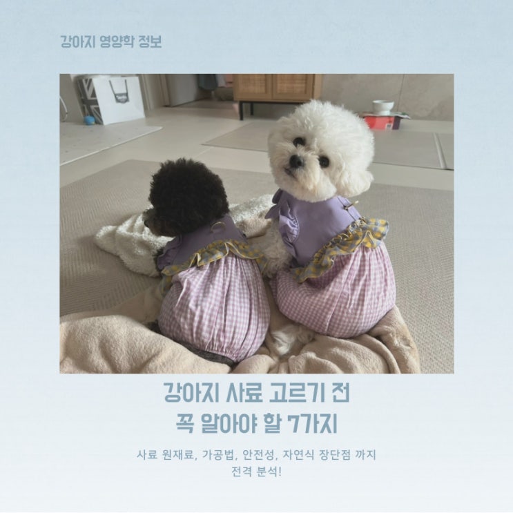 자연식vs사료, 강아지 사료 고르기 전 꼭 알아야 할 7가지