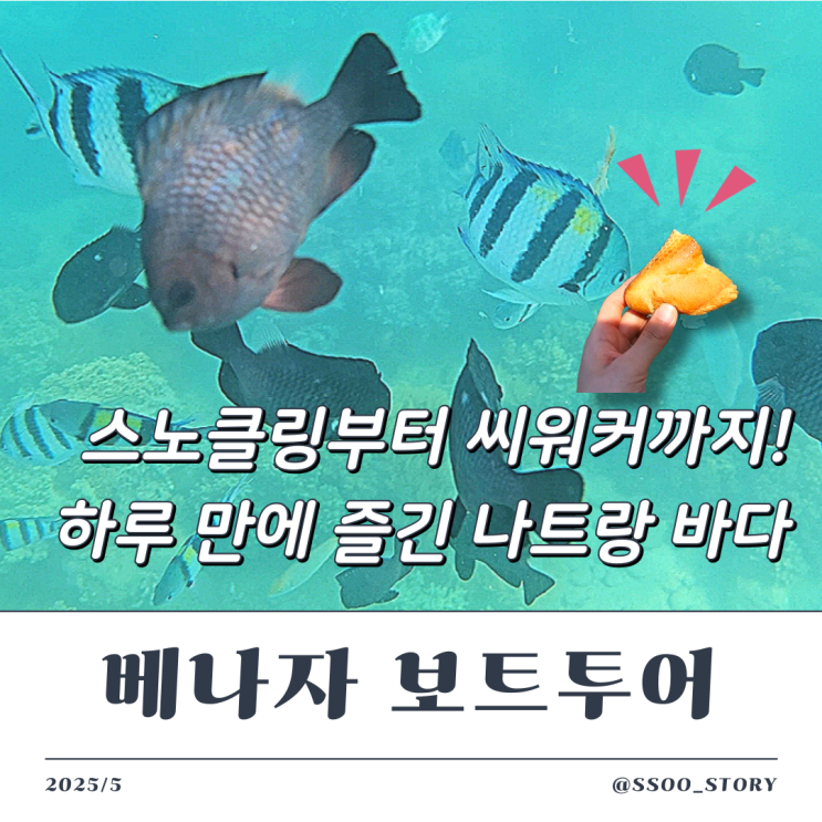  나트랑 베나자 보트투어 후기 (혼문섬 스노클링, 혼째섬 씨워커, 혼땀섬 리조트)