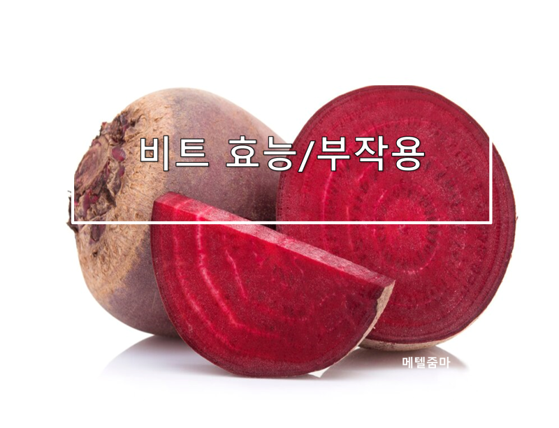 비트 효능,부작용/활용음식/음식궁합
