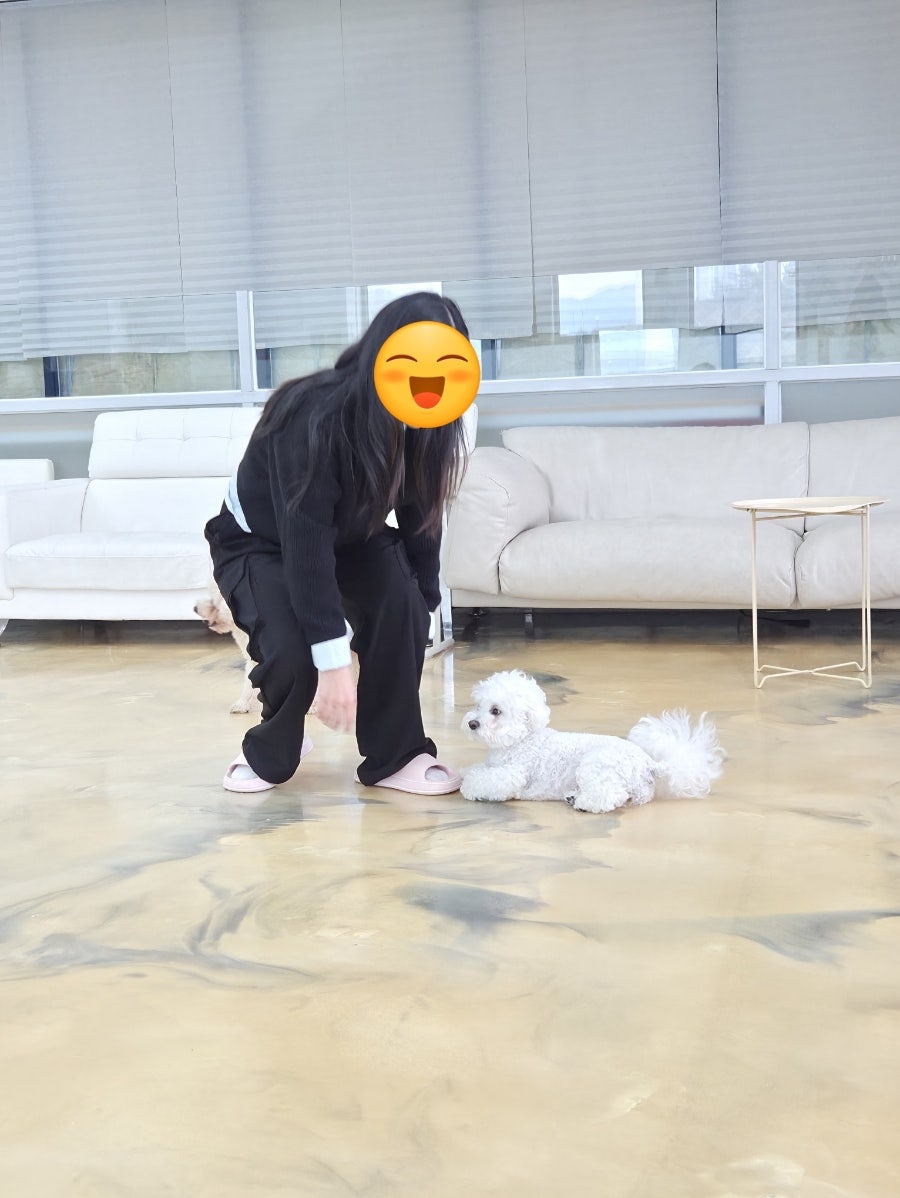 댕댕클럽 사진 4