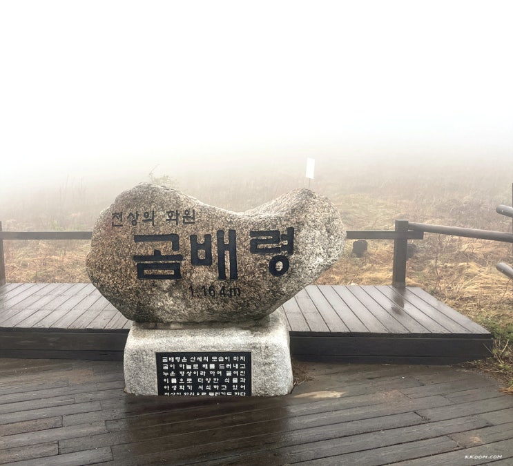강원도 인제 점봉산 천상의 화원 곰배령 - 비 오는 날 야생화 생태탐방 예약 강원도 인제 점봉산 천상의 화원 곰배령 - 비 오는 날 야생화 생태탐방 예약