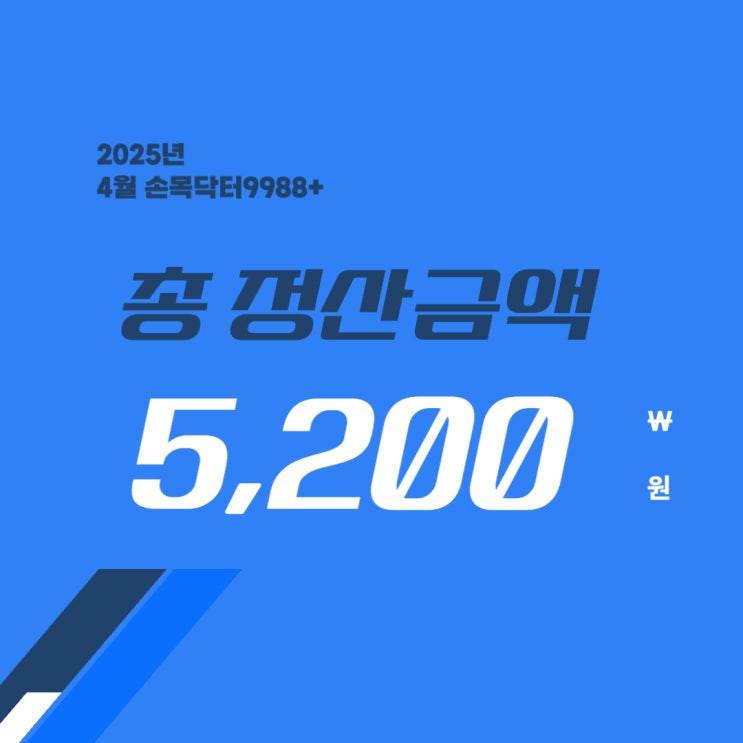  25년 4월 손목닥터9988+ 앱테크 결산 (+5,200원)