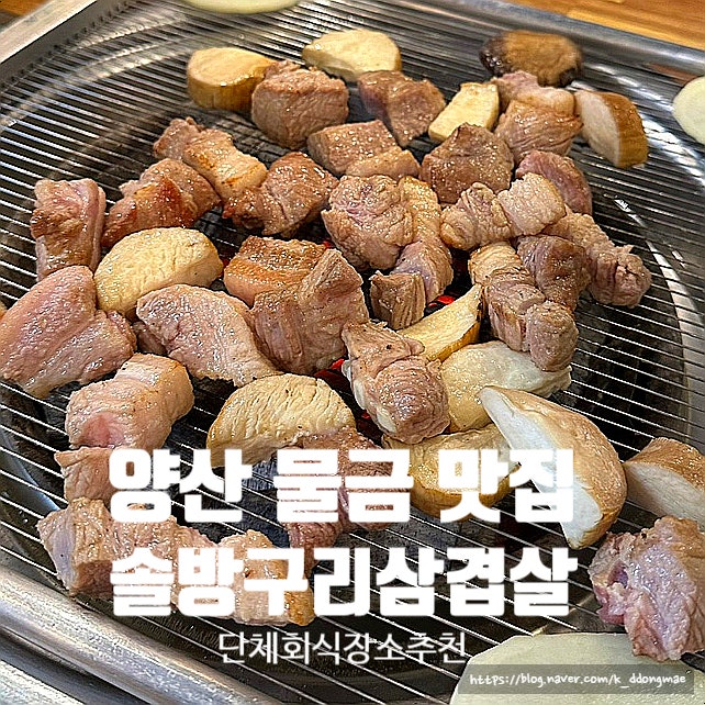 양산 물금 맛집 '솔방구리삼겹살 증산점' 단체회식장소 추천