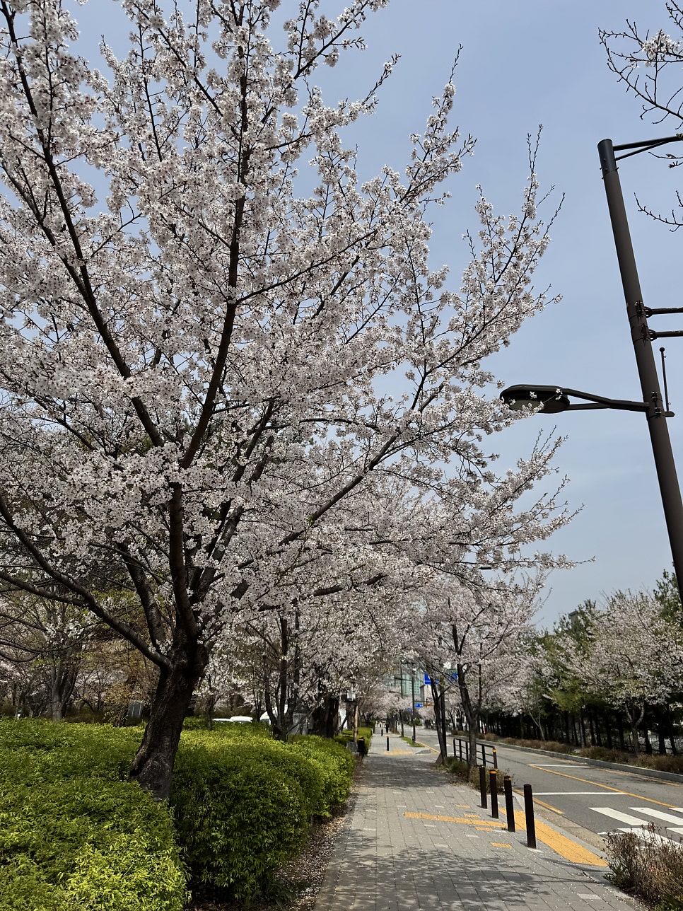 계림원 덕이로데오점 사진 4