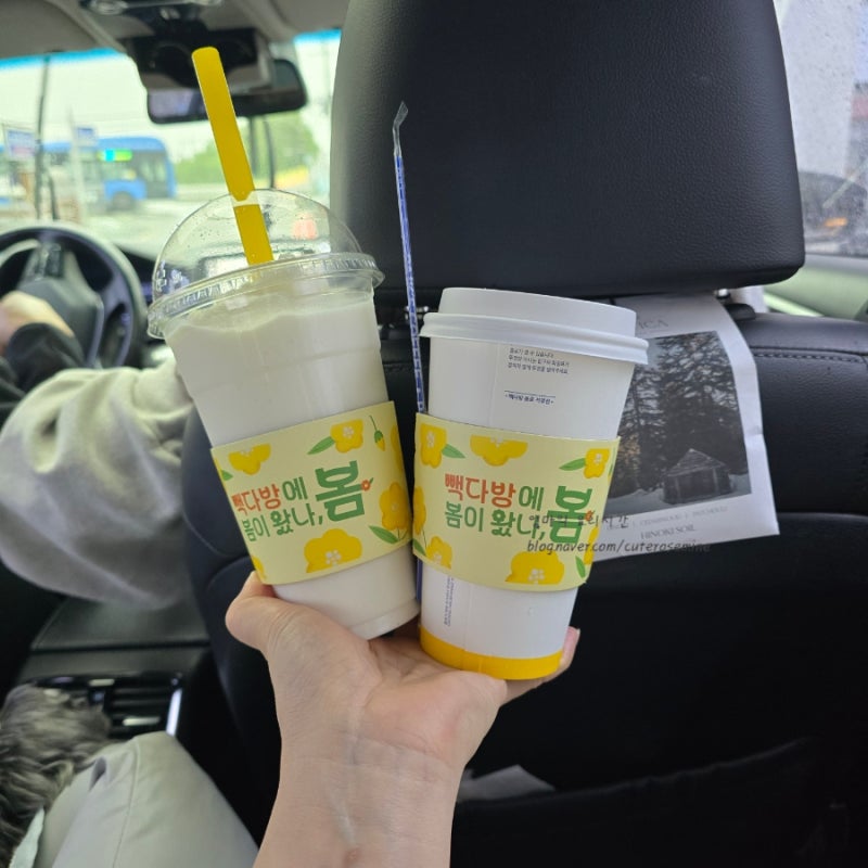 사진 8