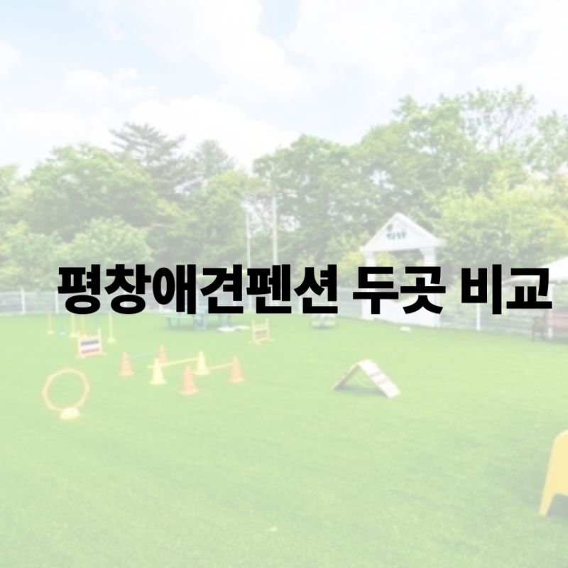 사진 4