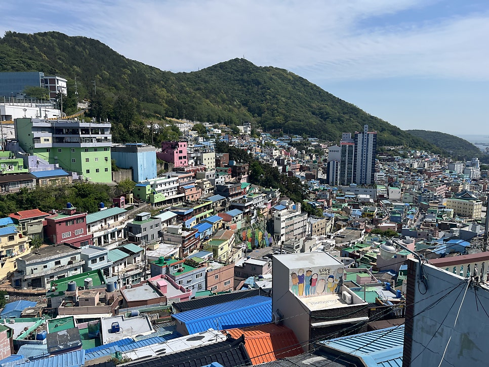 감천쫀드기 사진 3