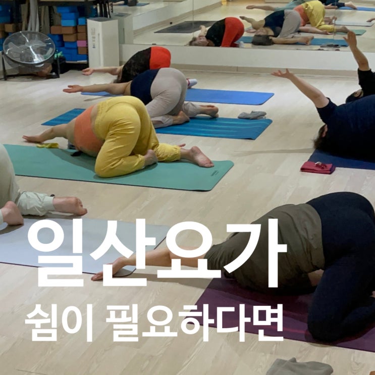  일산요가 쉼이 필요한 당신에게