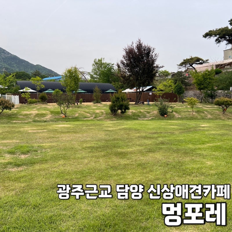 사진 2