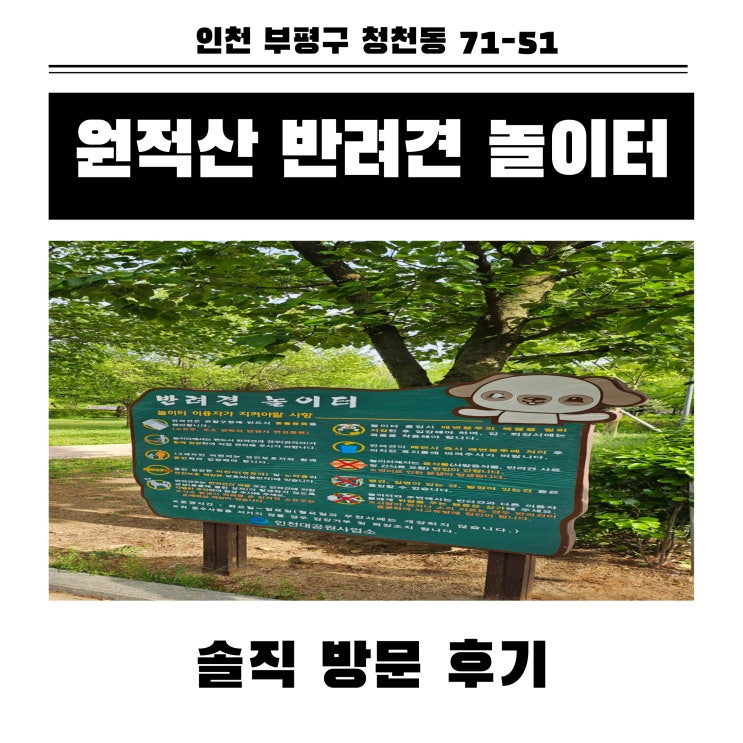  인천 부평 원적산 강아지가 놀기좋은 반려동물 놀이터 방문후기