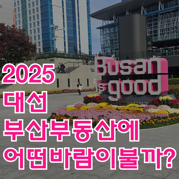  ️ 2025년 대선, 부산 부동산에 어떤 바람이 불까?