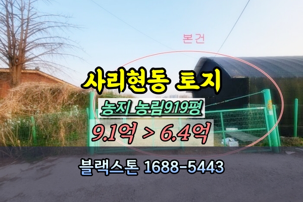  고양시 사리현동 토지 경매 답 1천평 [2024타경2469]
