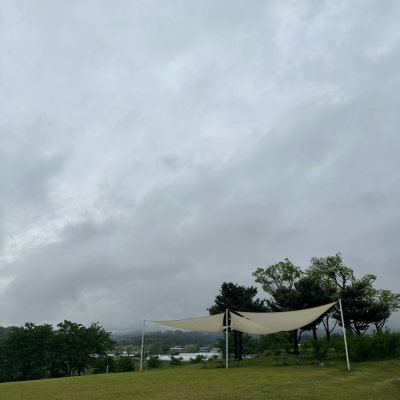 사진 2