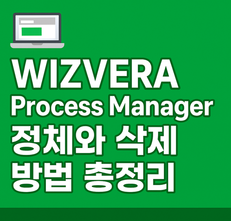 WIZVERA Process Manager 프로그램 정체는?