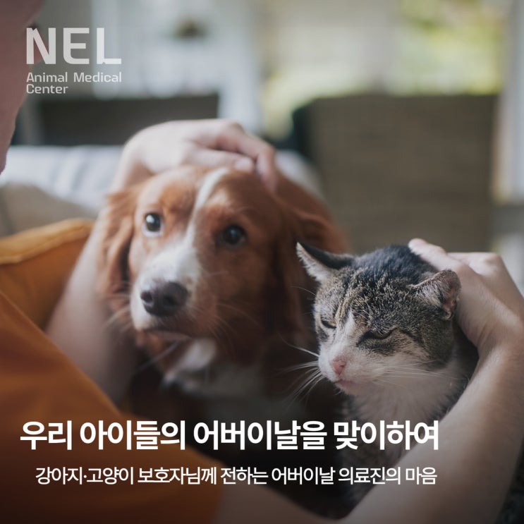  [소식] 어버이날 강아지·고양이 보호자님이 바로 우리 아이들의 부모님입니다