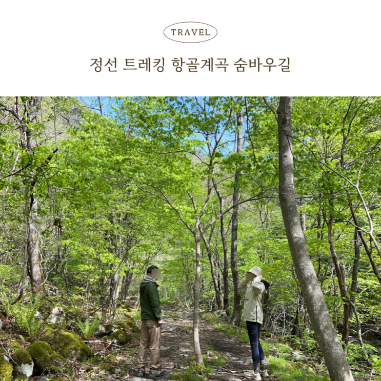  항골계곡 숨바우길, 거북바위까지 가볍게 걷는 정선 트레킹코스