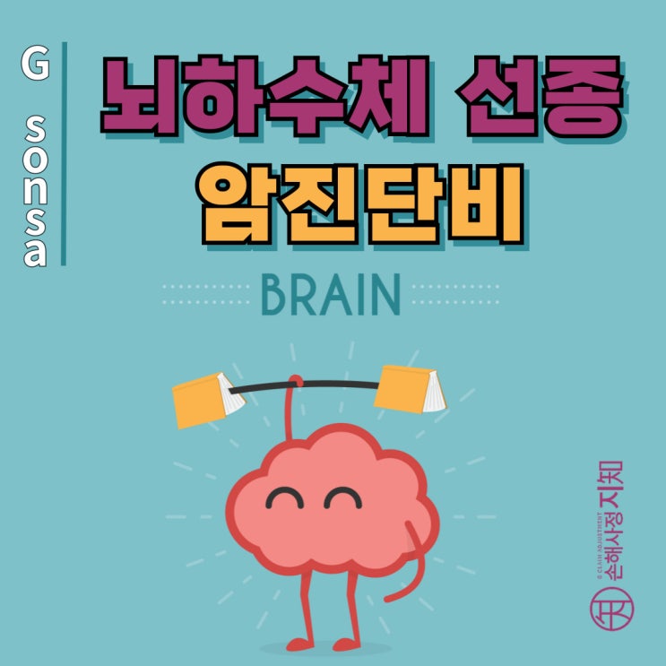  뇌하수체 선종(D35.2), PitNET으로 재분류! 암진단비 청구 전략 - [보험금, BA+DA]