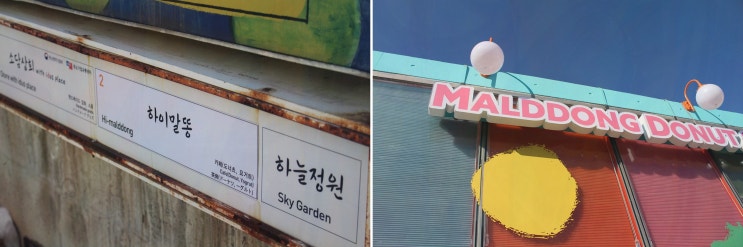  하이말똥 인사동, 도넛과 함께 즐기는 종로카페주차