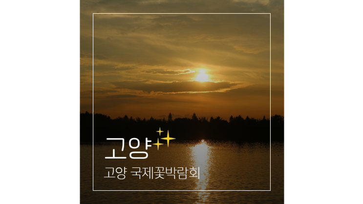  2025 고양 국제꽃박람회 ㅣ 5월 여행지 봄꽃 가득한 일산호수공원 구경