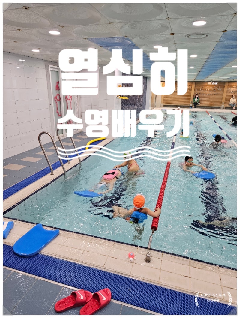 [부산남구대연동대호키즈수영장] 평일 정규반 소식