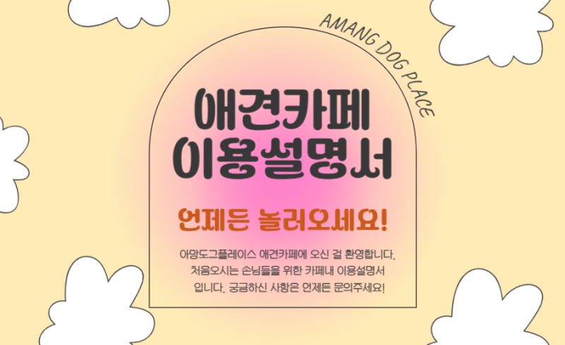 사진 5