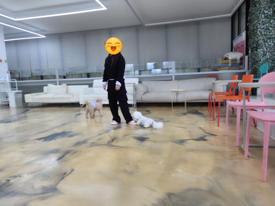 댕댕클럽 사진 5
