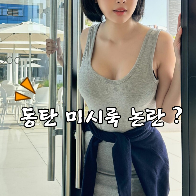 동탄 미시룩 논란 이유? 뜻 & 유래 코디 총정리! +피규어