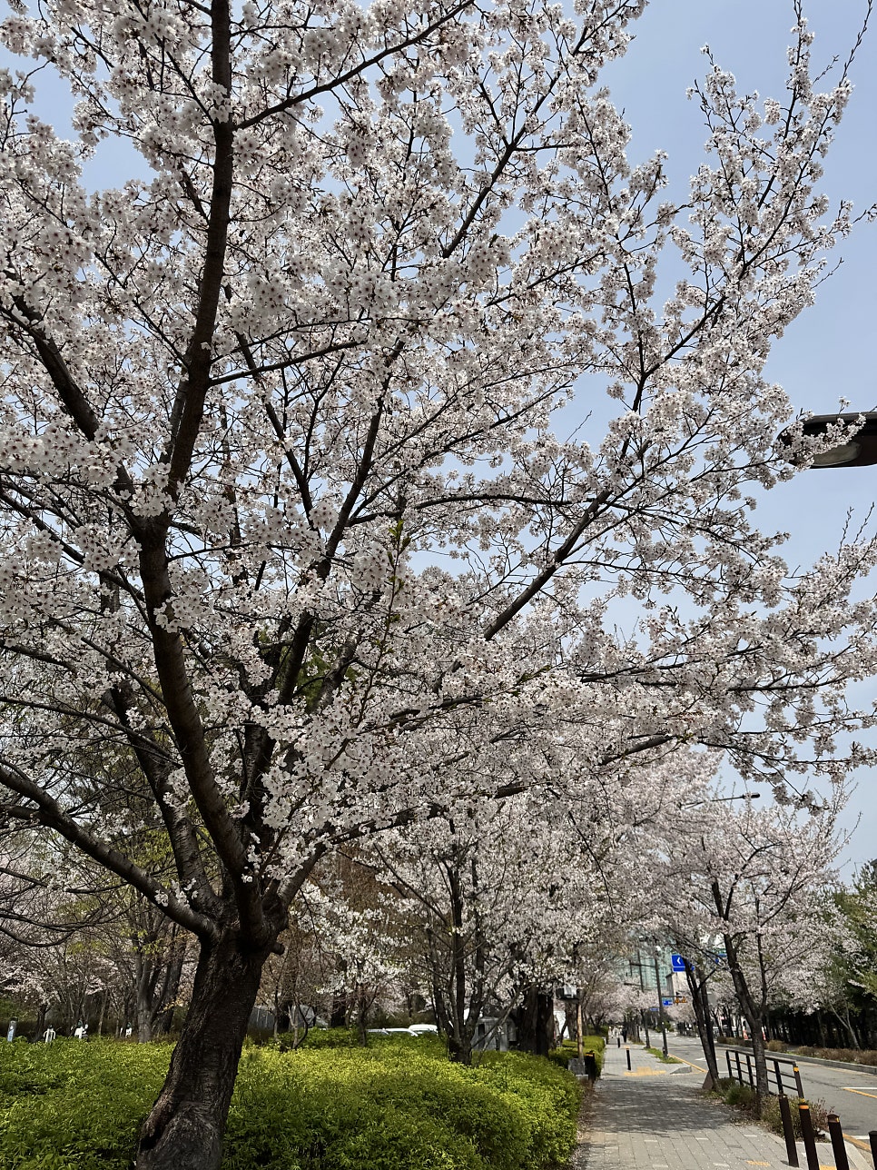 계림원 덕이로데오점 사진 3