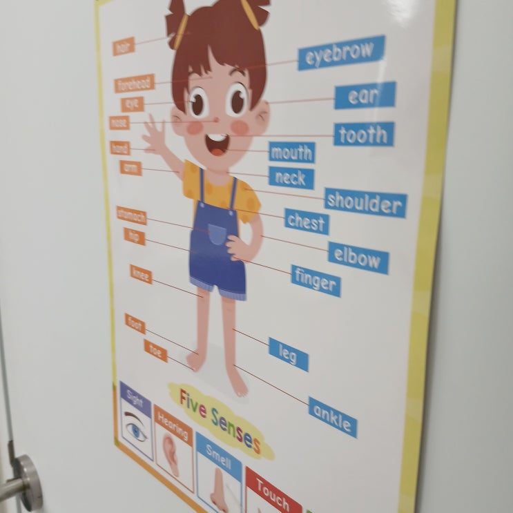  경주영어학원 추천 초등학생도 아이엘츠 6.0 맞게하는 앤더슨잉글리시학원