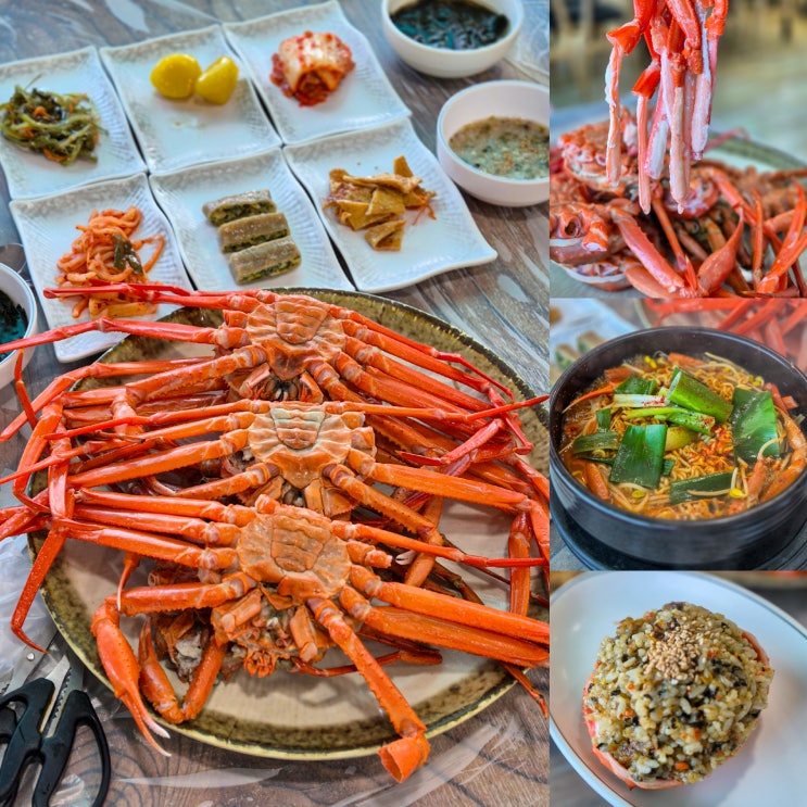  강릉맛집 주문진 상희네횟집 가성비 좋은 홍게무한리필