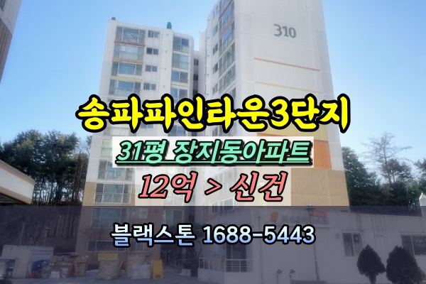  송파파인타운3단지 경매 31A평 장지동아파트