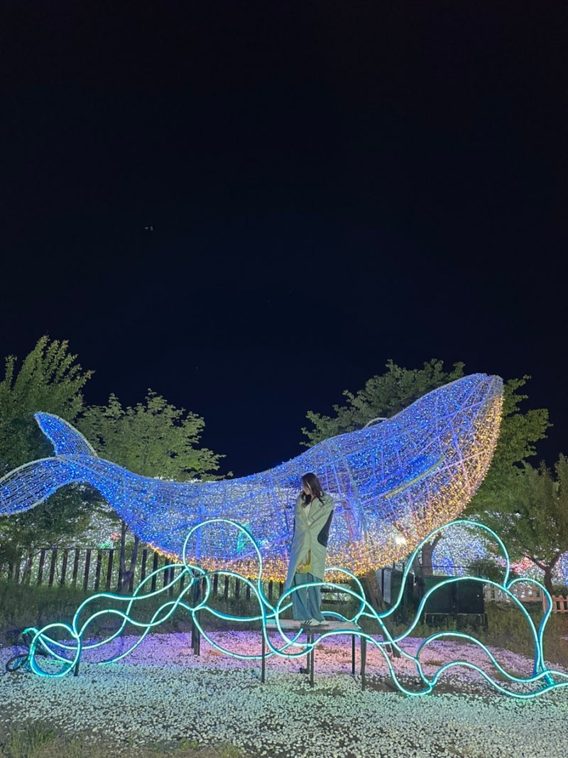 제주도야간명소 저녁볼거리 제주불빛정원 애월저녁놀거리