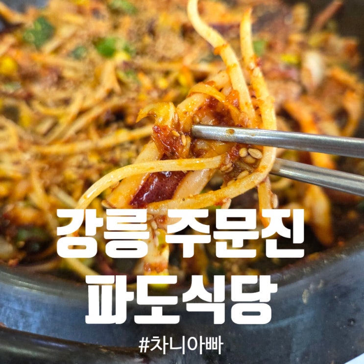  강릉 주문진 맛집 파도식당 본점 내돈내산 후기