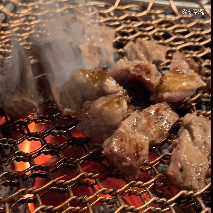 문정 애견동반식당 입에서 살살 녹는 고기 칠성집 갈매기 문정 애견동반식당 입에서 살살 녹는 고기 칠성집 갈매기
