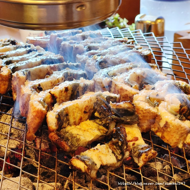 민물장어 숲속장어촌 장어구이 가격 메뉴 경기도 광주 맛집 민물장어 숲속장어촌 장어구이 가격 메뉴 경기도 광주 맛집