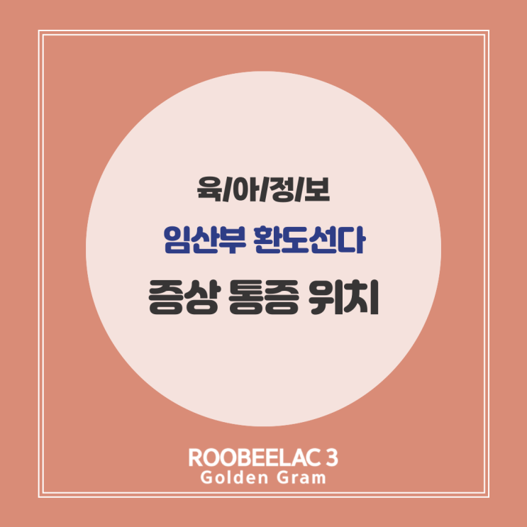  임산부 환도선다 증상 통증 위치 시기 밴드 테이핑 총정리 by. 덴마크 슈퍼 프리미엄 분유 루비락 3