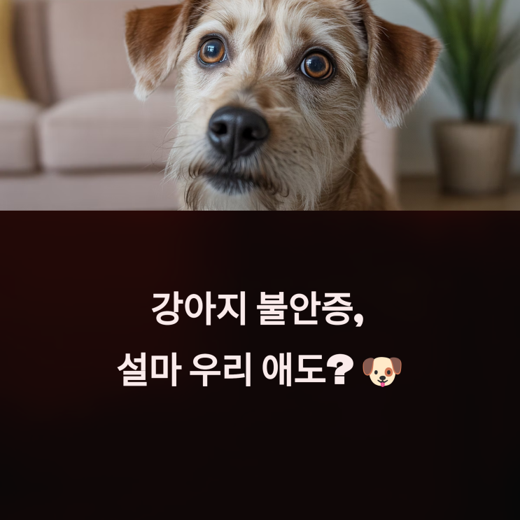  강아지 불안증, 설마 우리 애도? 초보 견주가 놓치기 쉬운 7가지 신호 완벽 분석!