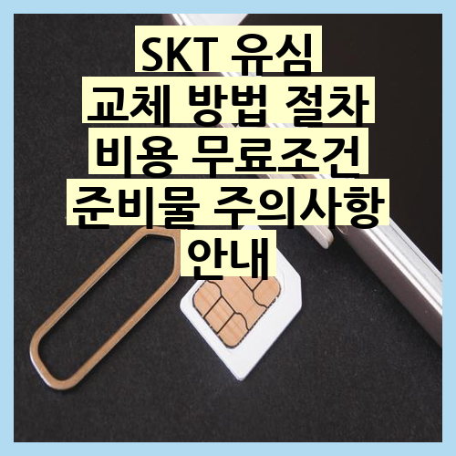 SKT 유심 교체 방법 절차 비용 무료조건 준비물 주의사항 완벽 가이드