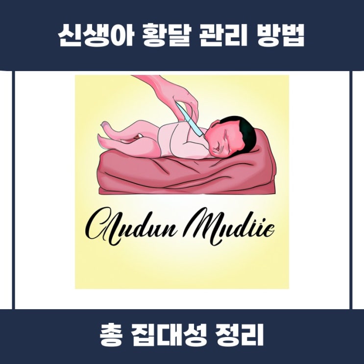  신생아 황달 관리 방법 쉽게 알아볼까요