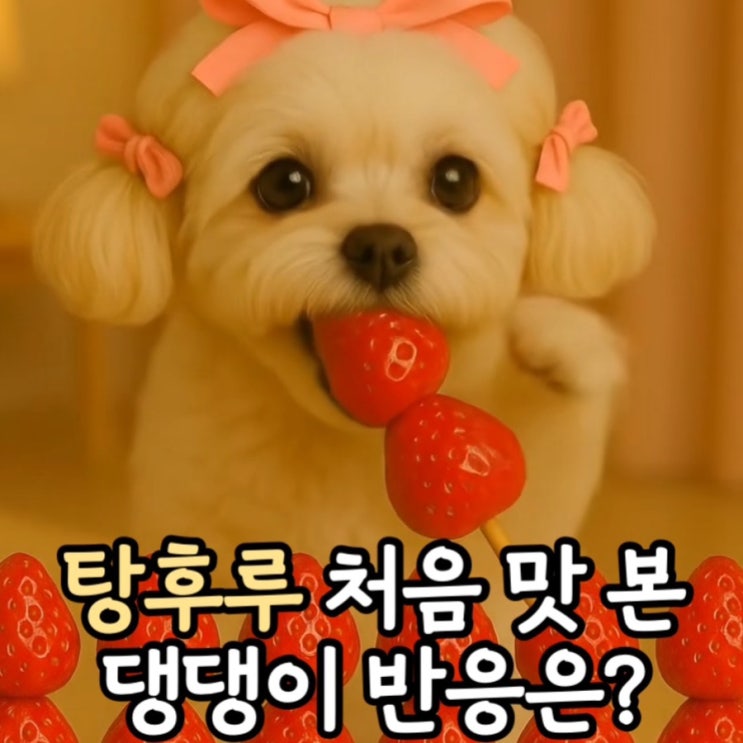 AI로 만든, 탕후루 처음 먹어본 댕댕이 반응은?