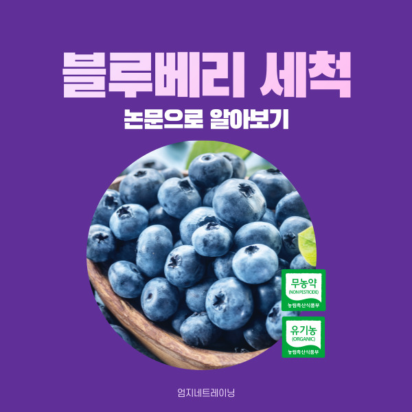  생블루베리 세척 논문으로 알아보는 가장 효과적인 방법