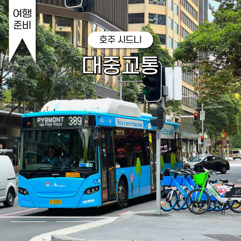 시드니 교통카드 트래블월렛 대중교통 타는법
