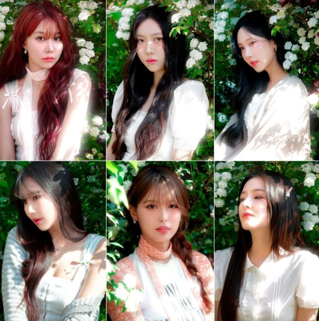 2년 만의 기적, 모모랜드 완전체 컴백…인연엔터 전속 계약 체결