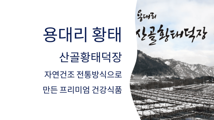  용대리 황태의 모든 것️ 우리는 황태 3대의 특별한 이야기