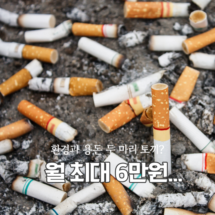  담배꽁초 줍고 월 6만원... 용산구 담배꽁초수거보상제