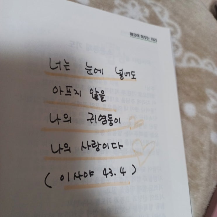  비안네 성당에 가다 나의 개종 이야기 feat. 안동교구 틔움지를 읽다가..