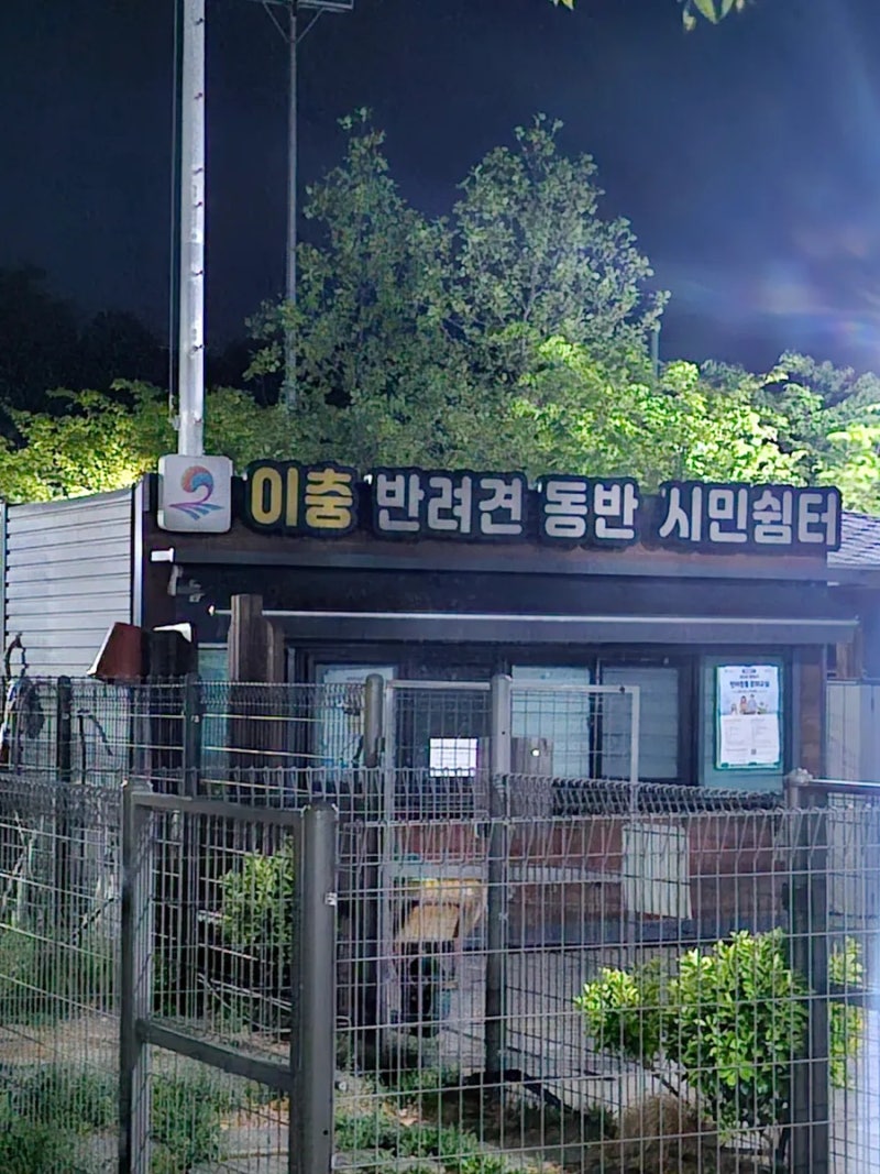 사진 5